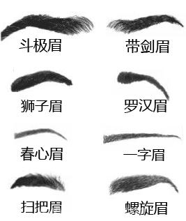 眉毛 面相:面相学眉毛的含义图解