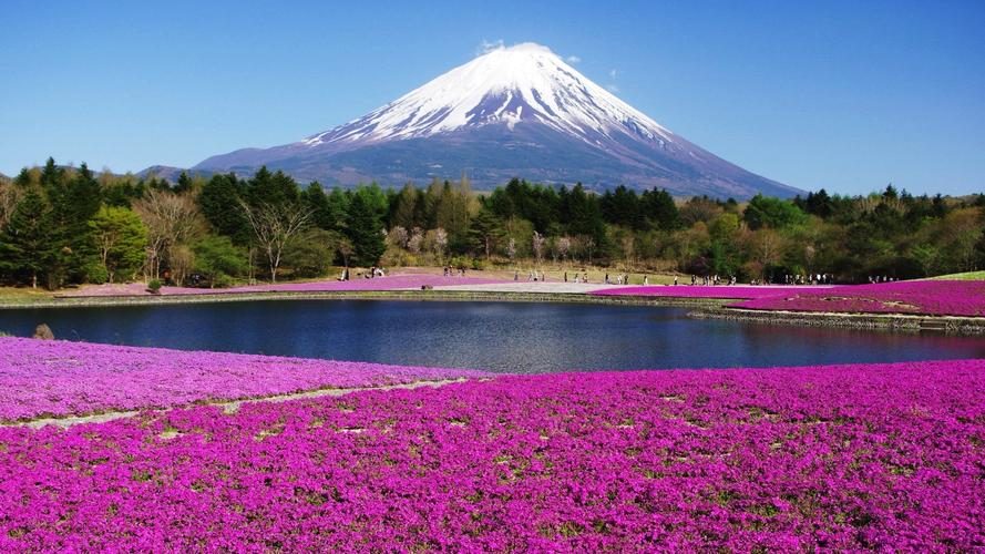 日本最大的岛屿