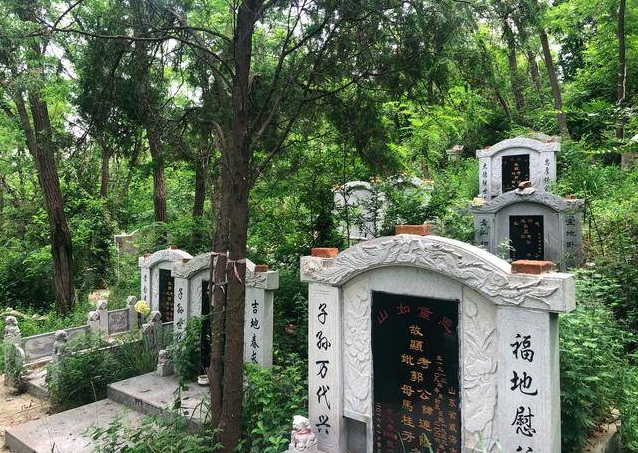 风水学墓前有柳树是吉凶 为什么风水忌柳树