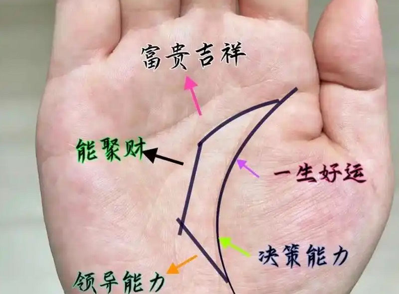 手相图解大全女 右手(看手相算命图解 女性右手)