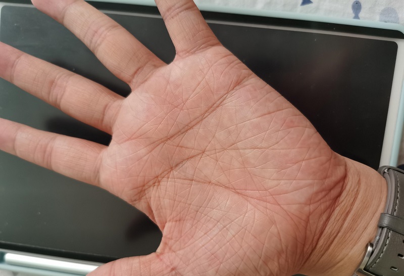 掌纹乱的人 他们的命运与性格如何关联