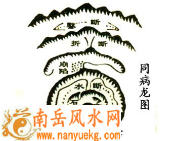 同病龙格