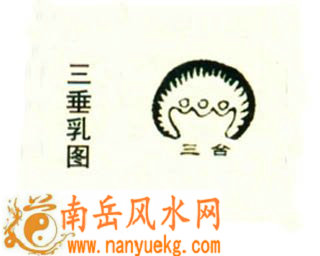 三垂乳形