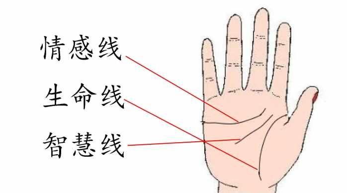 潮流能量能转化为电能吗 如何实现这一过程 潮流能量能转化为电能吗 如何实现这一过程