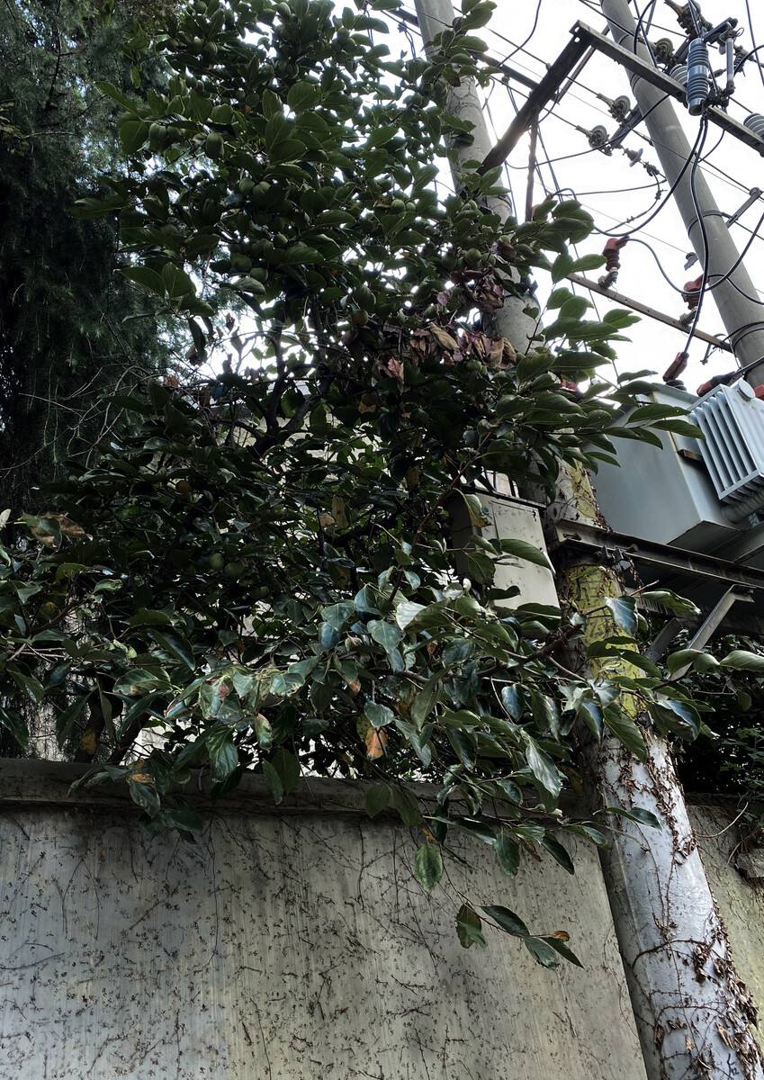 余姓男孩取名100分 余姓男孩取名100分
