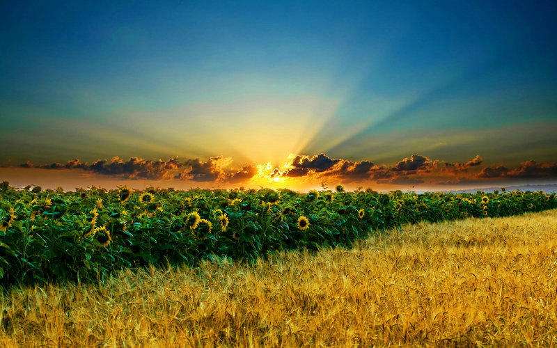 ���׷�ˮȡ�����ܷ�����Ϊ���л����������(���׷�ˮȡ�����ܸ������ǵ����л����)