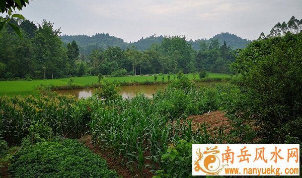 邰正宵个人资料多少岁 邰正宵个人资料多少岁