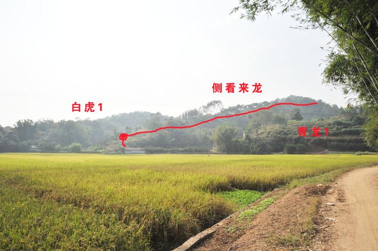 生肖猪的本命佛该怎么供奉才能顺利找到适合的伴侣(生肖猪的朋友们本命佛该怎么供奉才能找到合适的适婚年龄伙伴呢) 生肖猪的本命佛该怎么供奉才能顺利找到适合的伴侣(生肖猪的朋友们本命佛该怎么供奉才能找到合适的适婚年龄伙伴呢)