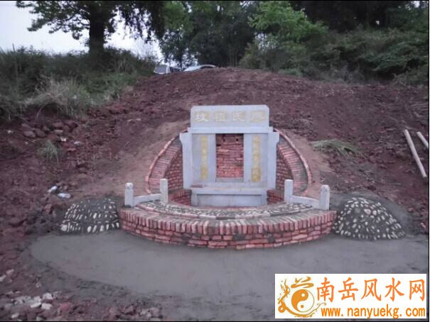 龟的风水奥秘 鱼缸摆放有玄机 居家必备知识揭秘 龟的风水奥秘 鱼缸摆放有玄机 居家必备知识揭秘