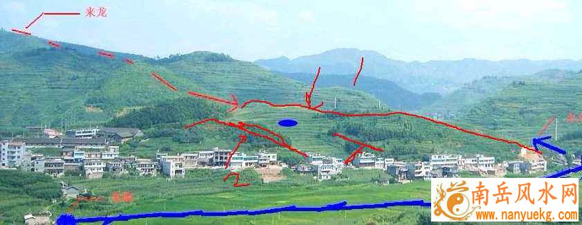 最新黑鸭子组合成员两只老虎爱跳舞小兔子乖 最新黑鸭子组合成员两只老虎爱跳舞小兔子乖