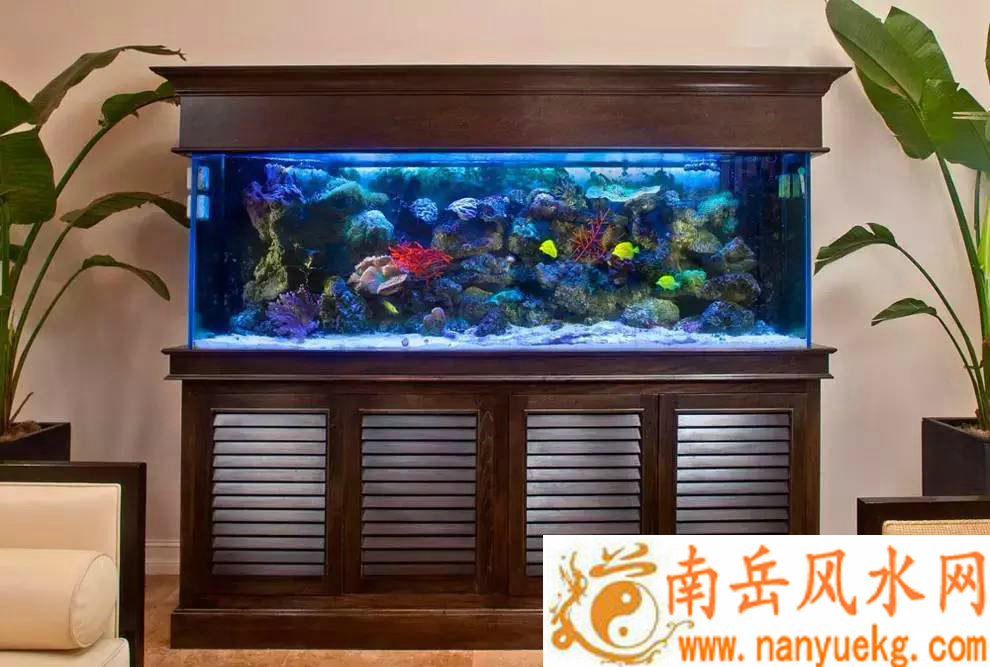 ����Ů������Ԣ��û�Ӱ����δ���ĵ���(����Ů������Ԣ������ڵ����������ҵ�ƽ�����г)