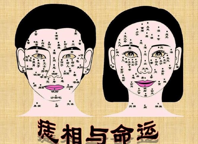 袁弘电视剧 袁弘电视剧大全古装剧 袁弘电视剧 袁弘电视剧大全古装剧