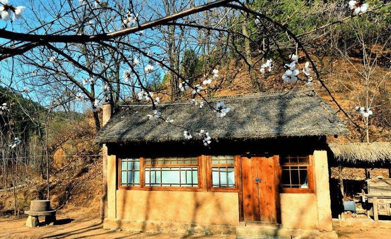 女人梦见大便用水冲掉是什么意思 女人梦见大便用水冲掉是什么意思