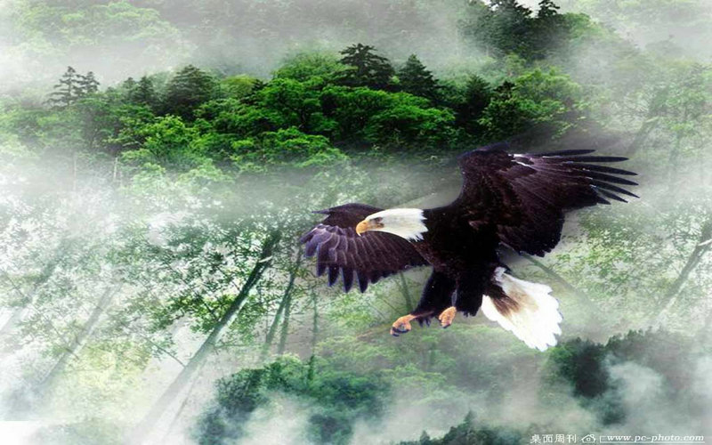 姓名测试罗正能否反映父母职业的秘密是什么(姓名测试罗正受父母职业影响深远) 姓名测试罗正能否反映父母职业的秘密是什么(姓名测试罗正受父母职业影响深远)