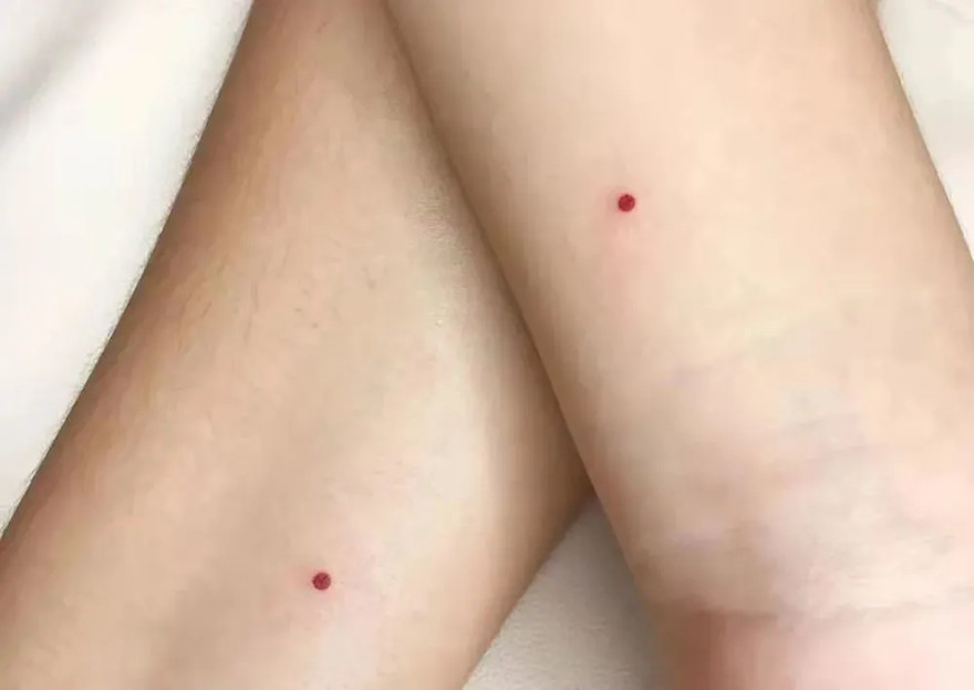 吕祖灵签第十六签_夫妻关系宠物签和谐(吕祖灵签第十六签_夫妻关系和谐养宠物签) 吕祖灵签第十六签_夫妻关系宠物签和谐(吕祖灵签第十六签_夫妻关系和谐养宠物签)