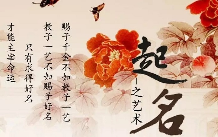 哈林个人资料显赫家世 哈林个人资料显赫家世