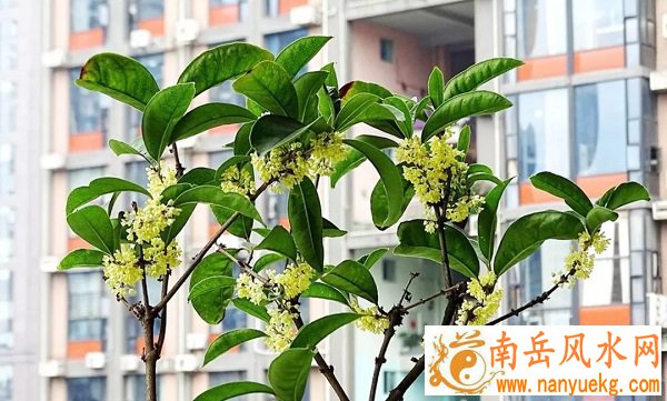 财神灵签第42签签文_友情破裂化解(财神灵签第42签签文_友情破裂化解) 财神灵签第42签签文_友情破裂化解(财神灵签第42签签文_友情破裂化解)