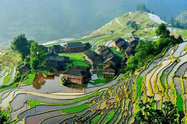 德字公司起名大全能帮助避免精神出轨的隐忧(德字公司起名大全会引发精神出轨的危机) 德字公司起名大全能帮助避免精神出轨的隐忧(德字公司起名大全会引发精神出轨的危机)