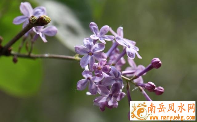 余姓加鲁姓起名男孩容易影响未来职业发展(余姓加鲁姓起名男孩与职场运势相辅相成) 余姓加鲁姓起名男孩容易影响未来职业发展(余姓加鲁姓起名男孩与职场运势相辅相成)
