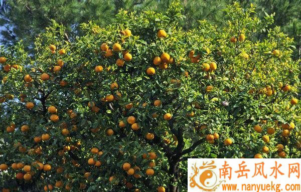 10月29日生日配对真的能够助你找到理想伴侣而不只是迷信的说法呢 10月29日生日配对真的能够助你找到理想伴侣而不只是迷信的说法呢