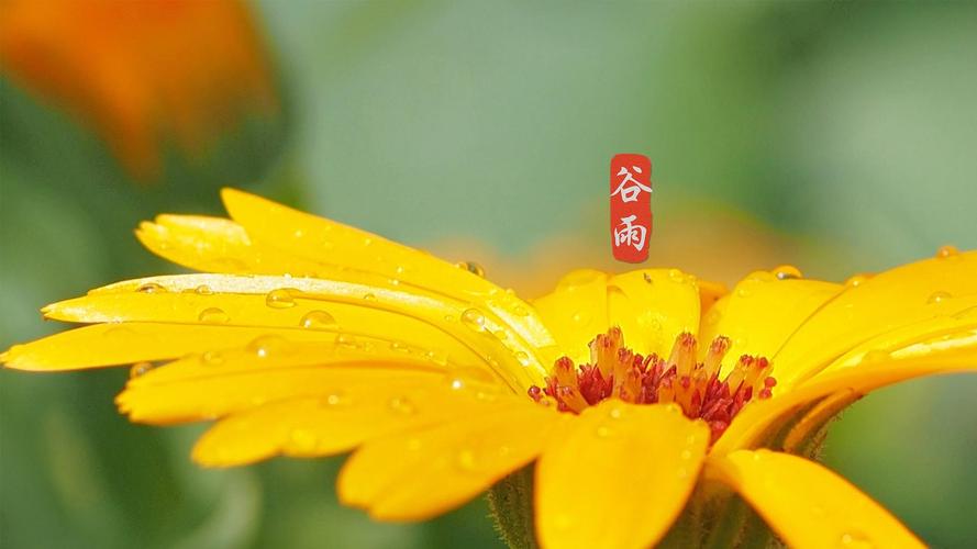 周易用姓名怎么算卦能电影喜好(周易用姓名怎么算卦影响电影与人生轨迹) 周易用姓名怎么算卦能电影喜好(周易用姓名怎么算卦影响电影与人生轨迹)