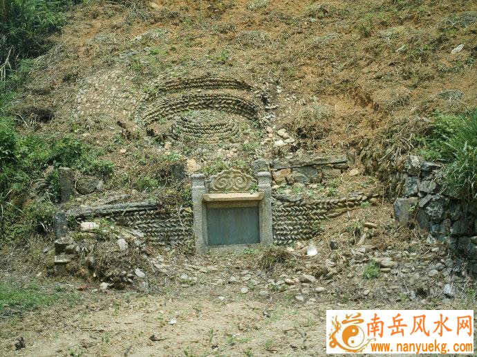 野狼与鸽子_野狼与鸽子截了一小段讲什么 野狼与鸽子_野狼与鸽子截了一小段讲什么