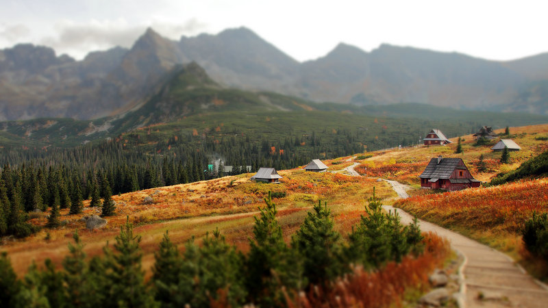 ���공���ղ⼪�ײ�ѯ���ƺ���Ԥ�����ƺͱ���Ǳ�ڷ���