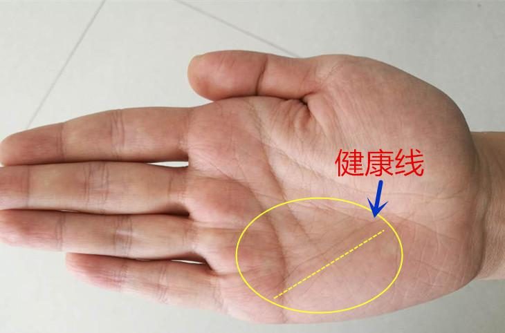 虎生肖运势1938 1938年的虎运势如何是什么意思 虎生肖运势1938 1938年的虎运势如何是什么意思
