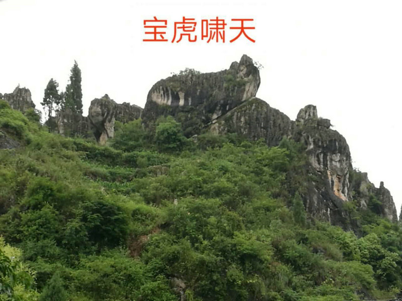 钢铁侠动漫 钢铁侠动漫免费观看播放 钢铁侠动漫 钢铁侠动漫免费观看播放
