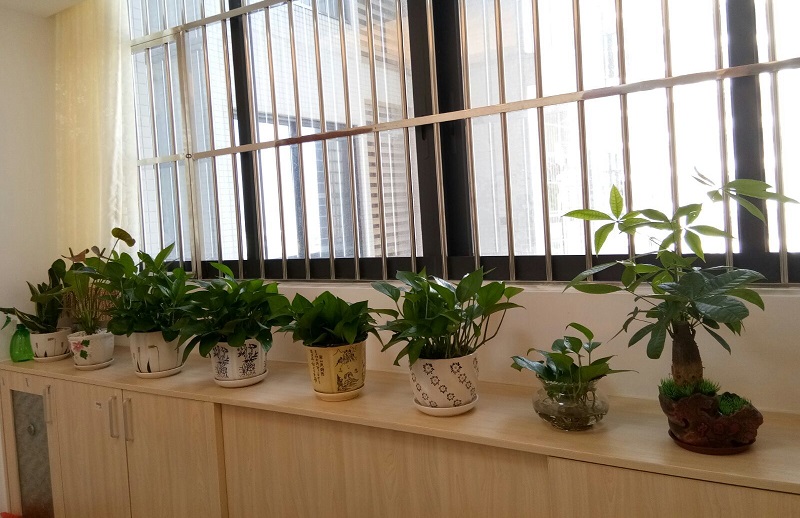 凤水奥秘解读 地理环境与人居之宜或者风水专家揭秘凤地优势 环境与人才共生之奥秘 凤水奥秘解读 地理环境与人居之宜或者风水专家揭秘凤地优势 环境与人才共生之奥秘