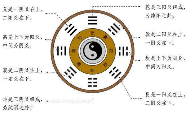 特朗普签署行政令调查外资企业食品反竞争行为 特朗普签署行政令调查外资企业食品反竞争行为