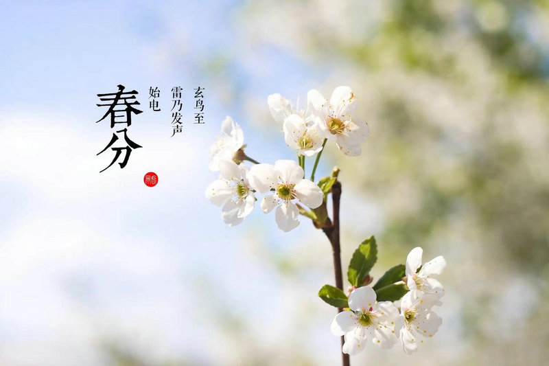 生辰八字断婚姻宫看合适对象 生辰八字断婚姻宫看合适对象