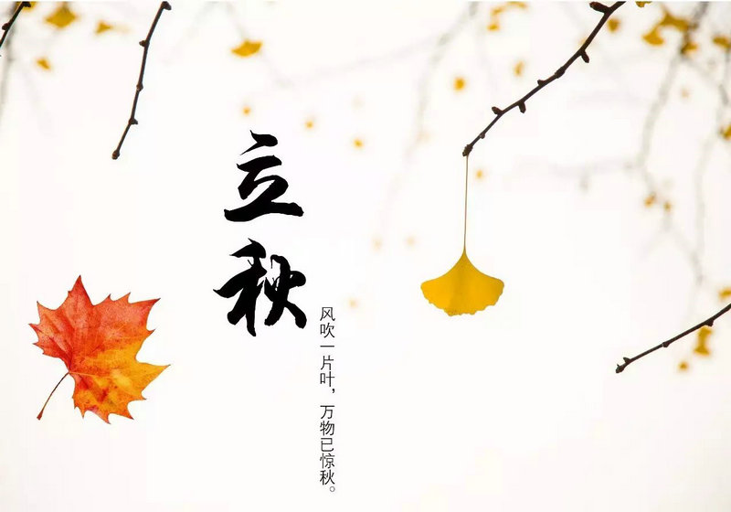 属猴的人取什么名字好 属猴的人取什么名字好