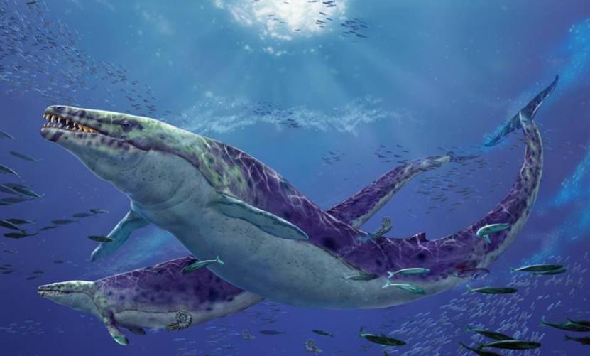 ����ʦ��������ܴٽ���й�ͨ��˳����(����ʦ��������ܷ���������й�ͨ��ͨ����)
