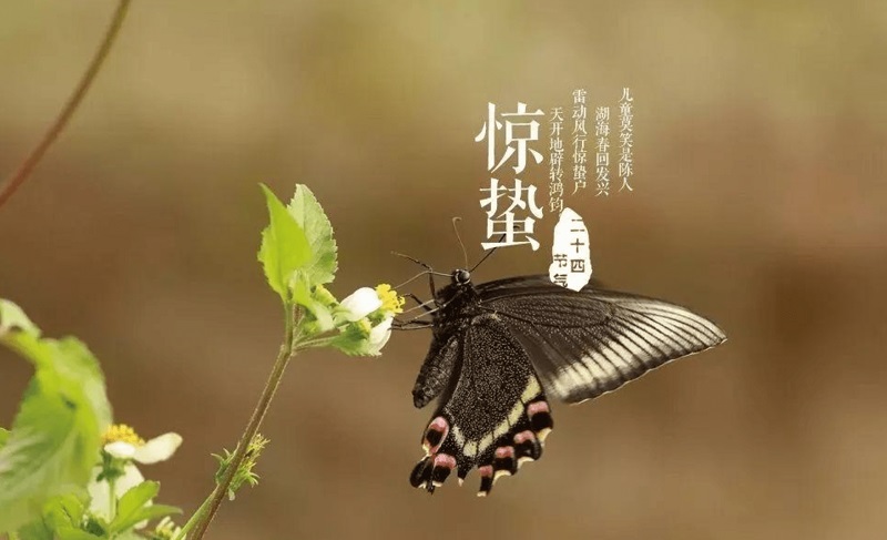 装修风水学基础概览 入门指南与要素解析 装修风水学基础概览 入门指南与要素解析