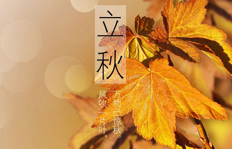 �ſڰڷ�ʲô���в�