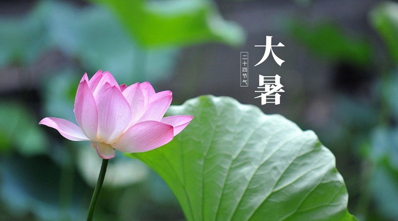 谢金燕个人资料与简介 谢金燕个人资料与简介