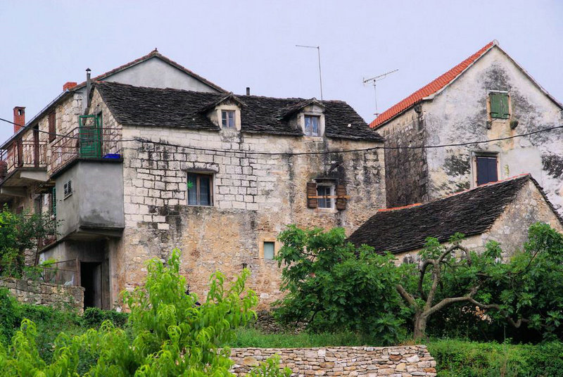 ��Ա������ĸ�������