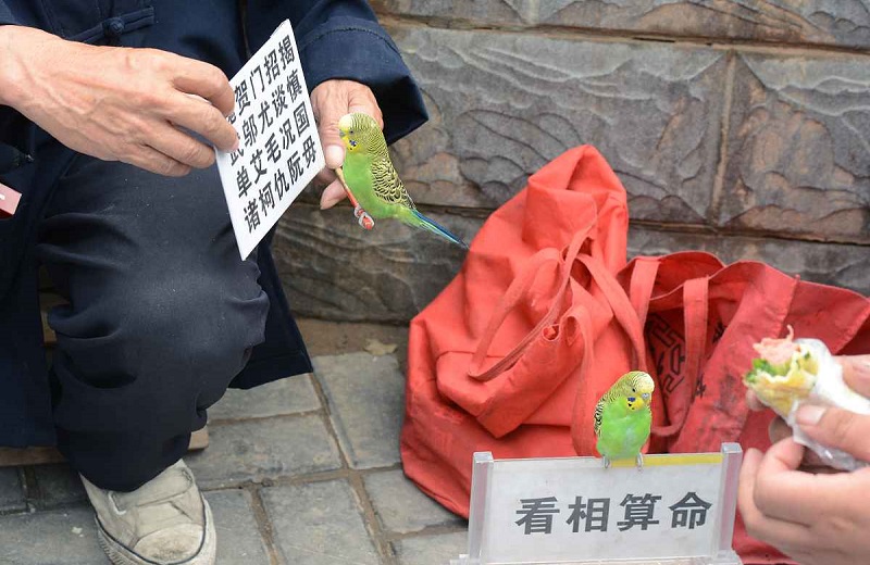 怎么收蓝牙配对的手机号真的会对我们的隐私安全带来威胁或困扰呢 怎么收蓝牙配对的手机号真的会对我们的隐私安全带来威胁或困扰呢