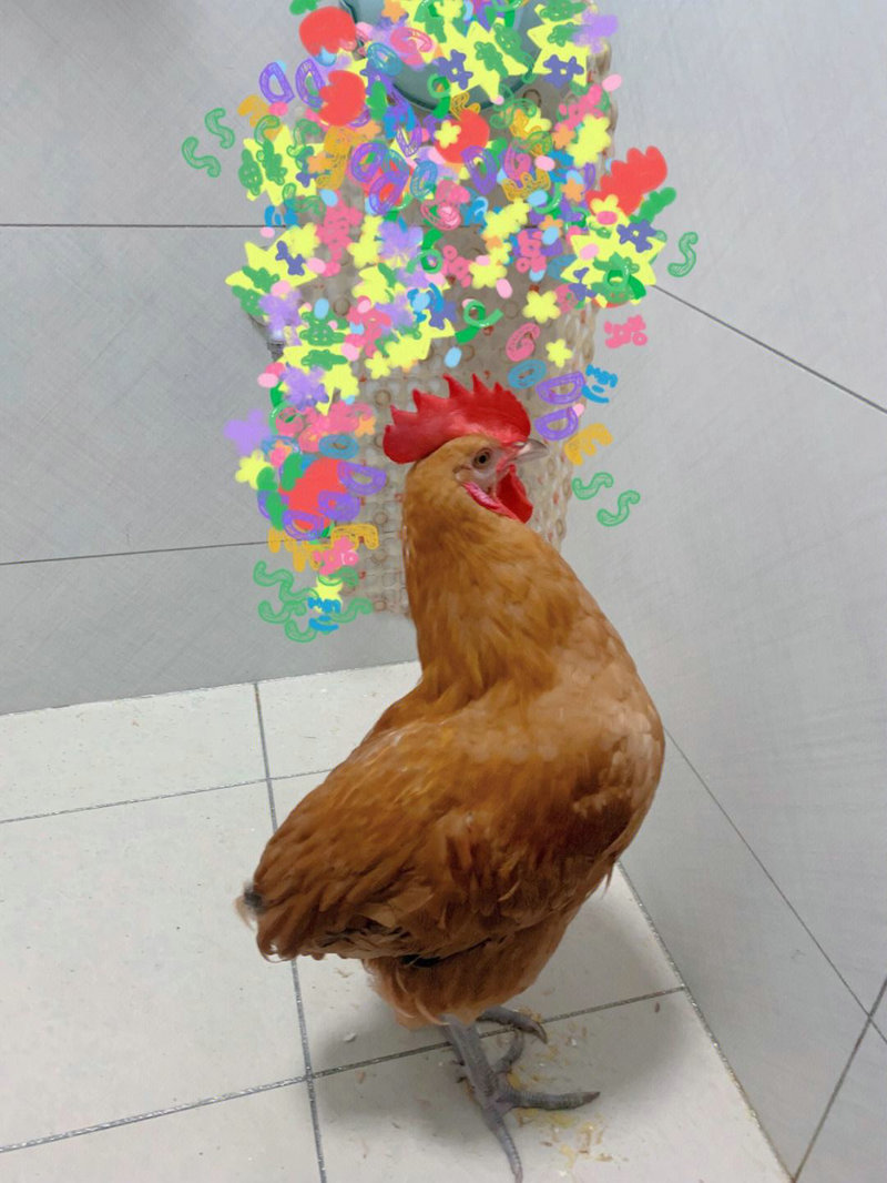 �������˵�Ů�������