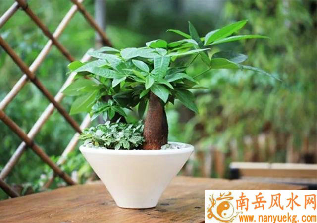 石敢当作用是什么要摆放在哪 石敢当作用是什么要摆放在哪