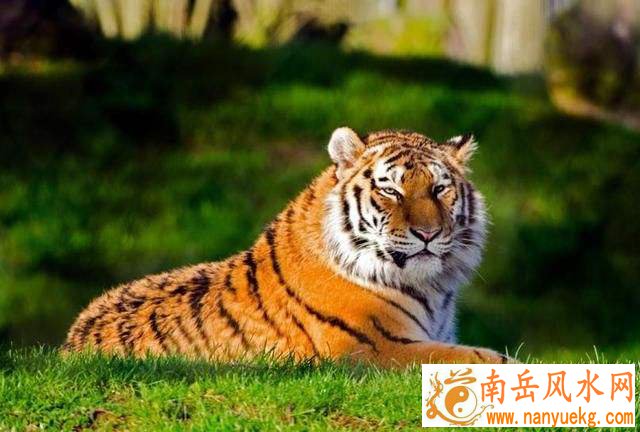 宋轶个人资料简介身高 宋轶个人资料简介身高