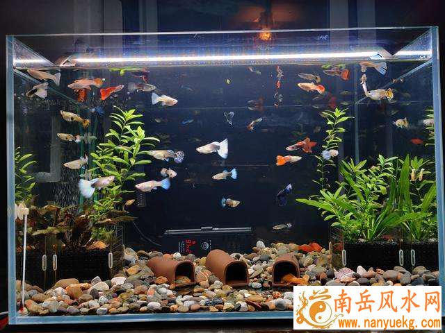 妈祖灵签第76签解签家庭关系会出现波折(妈祖灵签第76签解签家庭关系和亲情稳定) 妈祖灵签第76签解签家庭关系会出现波折(妈祖灵签第76签解签家庭关系和亲情稳定)