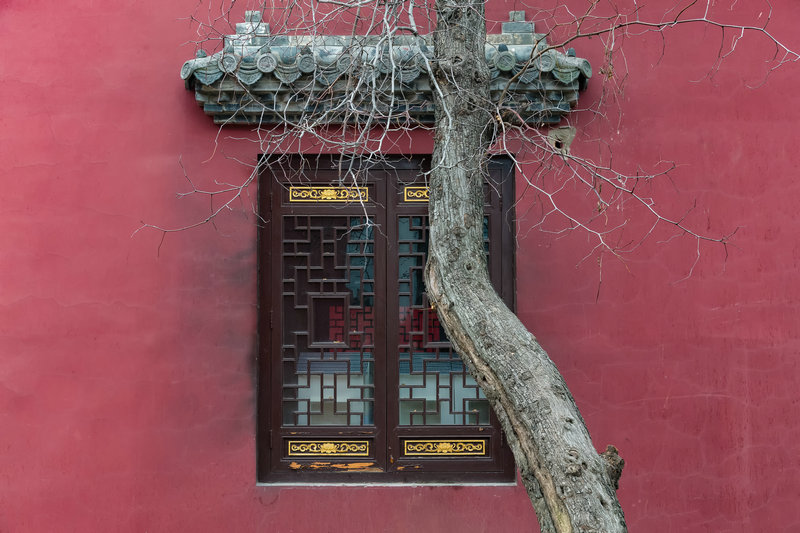 小苍个人站 小苍在哪里直播2025 小苍个人站 小苍在哪里直播2025