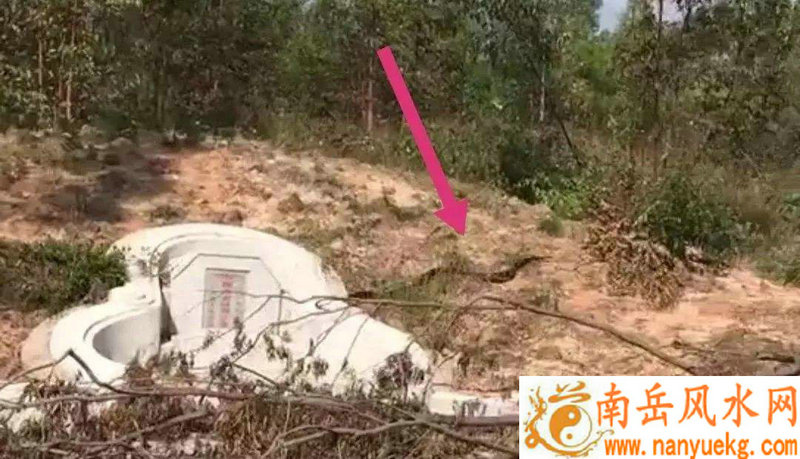 路上遇到蛇的寓意和象征是什么 路上遇到蛇的寓意和象征是什么