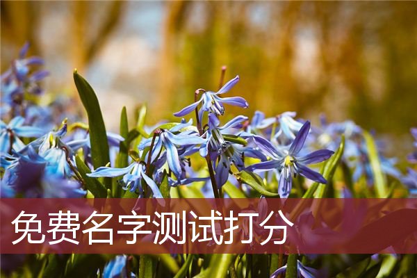 ����ȱľŮ���������������ܴٽ���ͥ�ĺ�г���Ҹ�(����ȱľŮ������������������ܴ������˺��Ҹ�)
