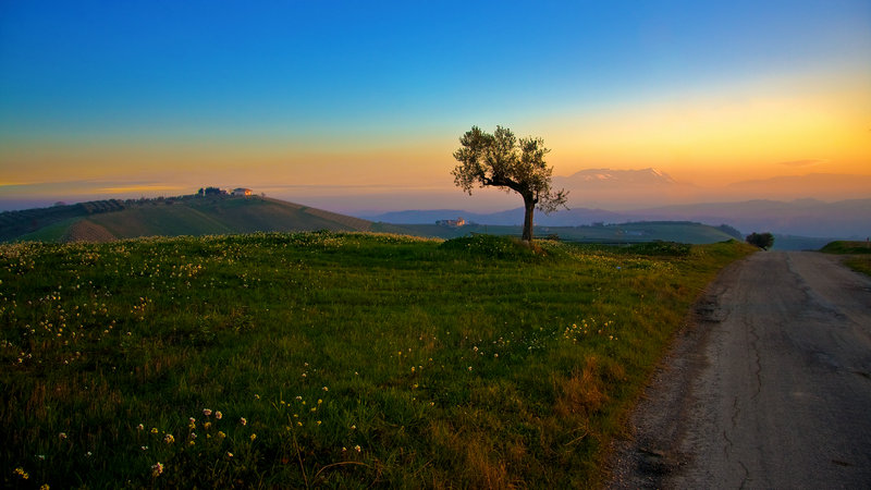 ��Ա�����������ϼ��