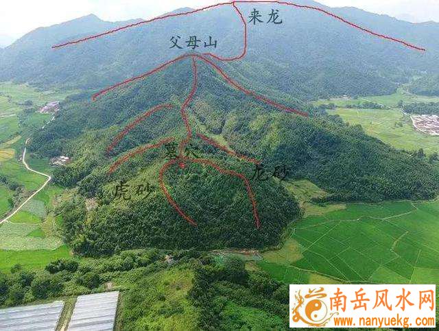 八字算命红兔_八字算命红兔真能预知未来吗 八字算命红兔_八字算命红兔真能预知未来吗