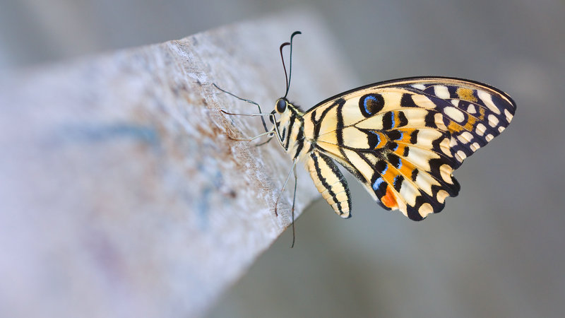 水龙头滴水与风水关联 应对滴水对风水影响的方法 水龙头滴水与风水关联 应对滴水对风水影响的方法