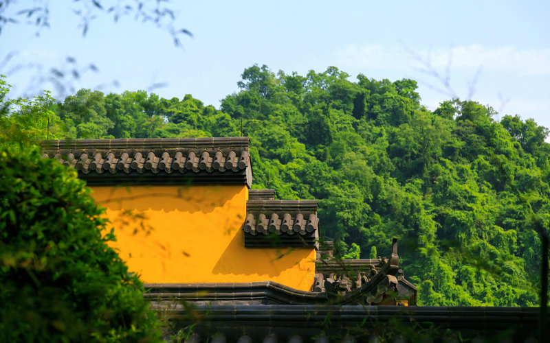 ��ְǩ�в���������ǩ��ʾ�Ķ�ϰ�ߵĸı�(����ְ·�ϲ���������ǩ��ָ��)